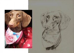 Jilly Mac portraits - portrait of a dog and original photo