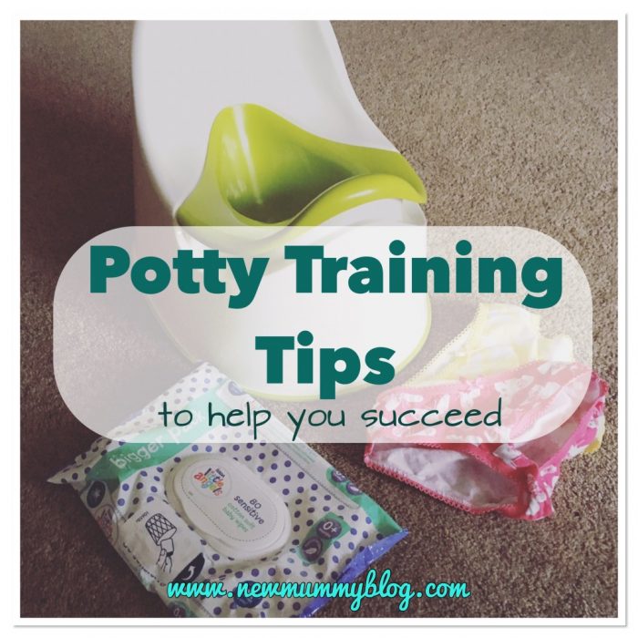 Potty Training Tips to Help Succeed - New Mummy Blog