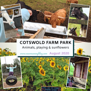 Cotswold farm park review reopen