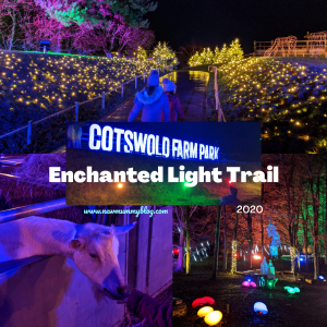 enchanted light trail cotswold farm park new mummy blog